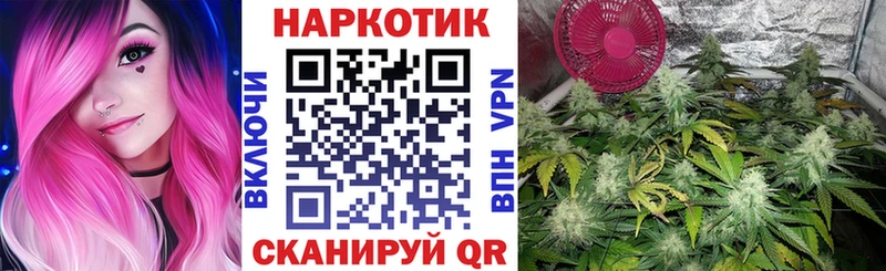 Как найти наркотики Дальнегорск Бошки Шишки  NBOMe  A PVP  ГАШИШ  Меф мяу мяу 