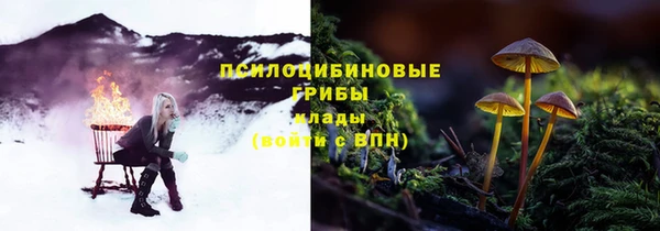 трава Беломорск
