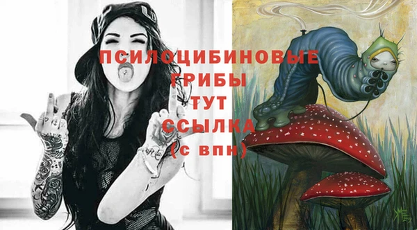 меф Белокуриха