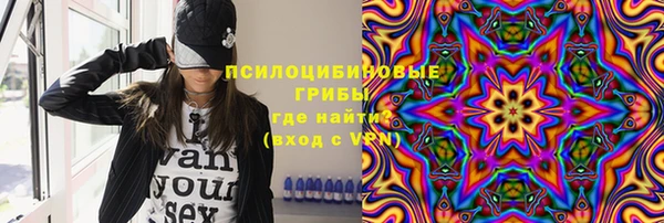 трава Беломорск