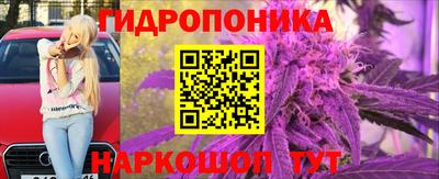 альфа пвп Железногорск