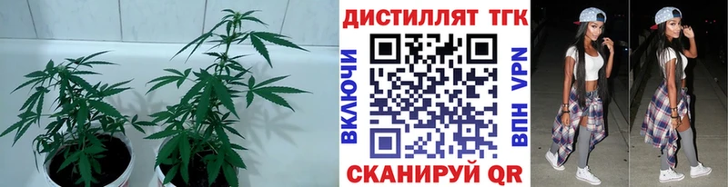 Дистиллят ТГК вейп Дальнегорск