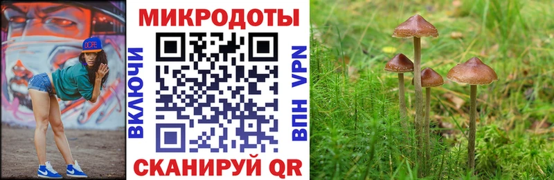 kraken ССЫЛКА  Дальнегорск  Псилоцибиновые грибы Magic Shrooms 