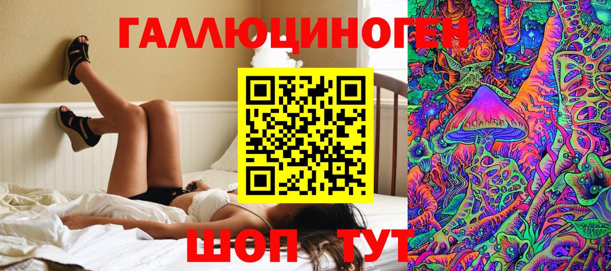 Дальнегорск  Галлюциногенные грибы MAGIC MUSHROOMS  Вход с VPN 